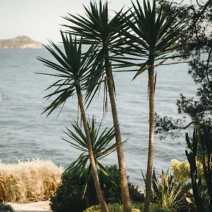 Provençal Hyères